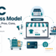 B2C Business Model Guide